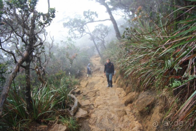 Кинабалу one-day trip