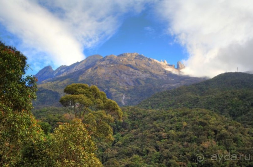 Кинабалу one-day trip