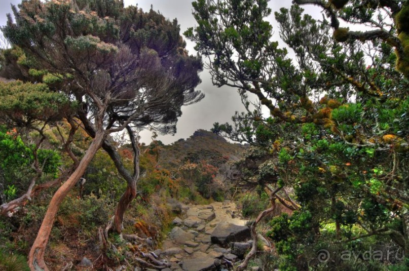 Кинабалу one-day trip