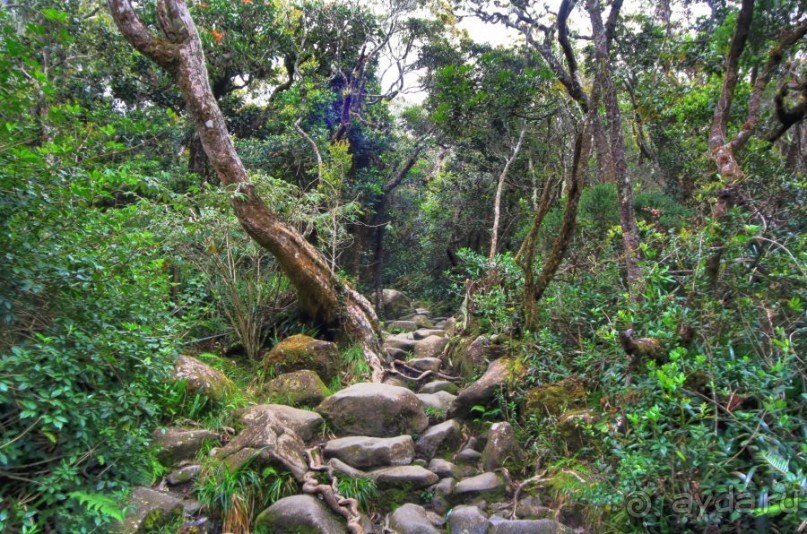 Кинабалу one-day trip