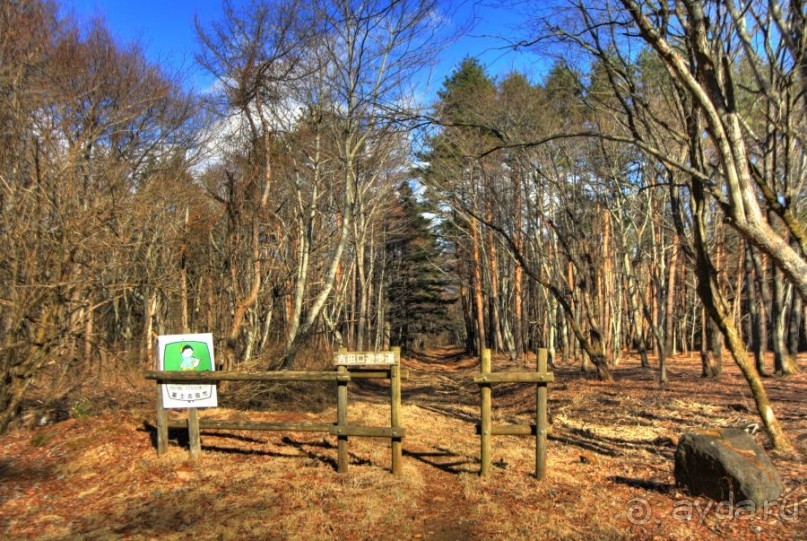 На Фудзи зимой