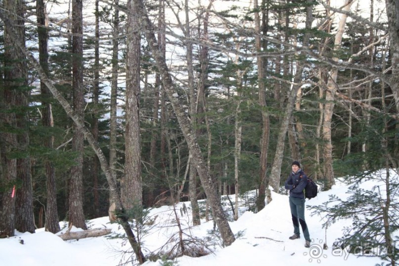 На Фудзи зимой