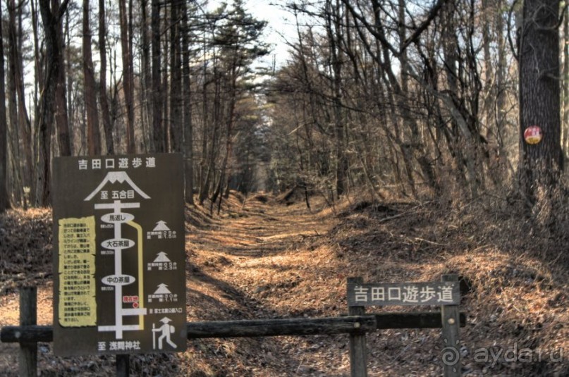 На Фудзи зимой