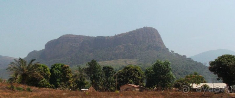 Вторая беда западной Африки