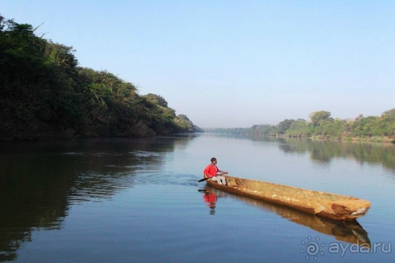Вторая беда западной Африки
