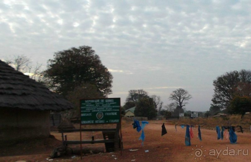 Вторая беда западной Африки