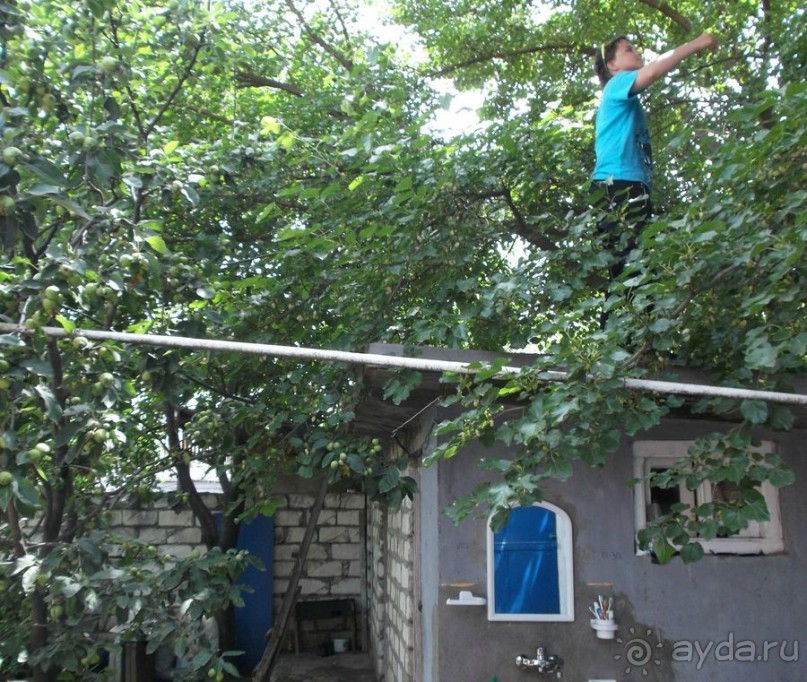 Киндер-Закавказье. Из Сванетии - да в Дагестан. Часть стартовая
