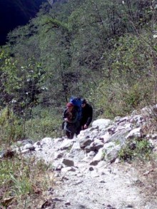 Огромный маленький Лангтанг. Подъем