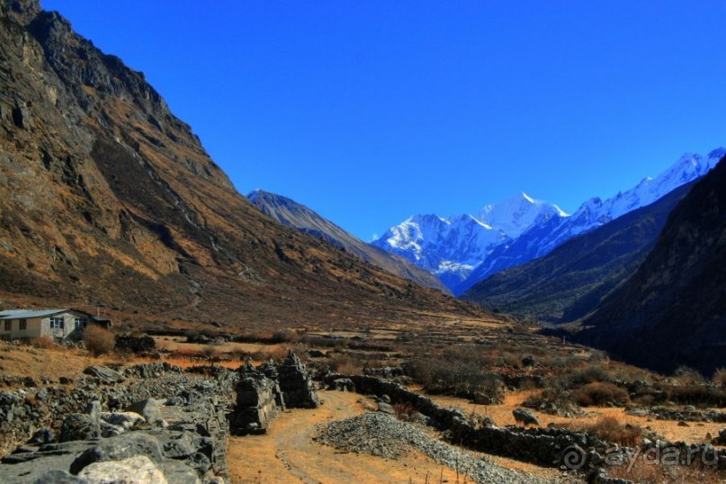 Огромный маленький Лангтанг. Подъем