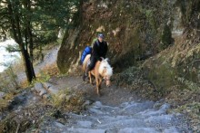 Огромный маленький Лангтанг. Подъем