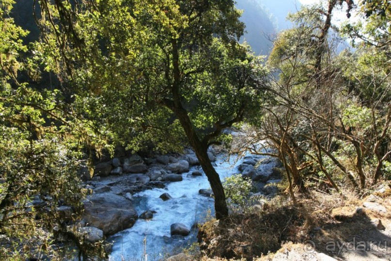 Огромный маленький Лангтанг. Подъем