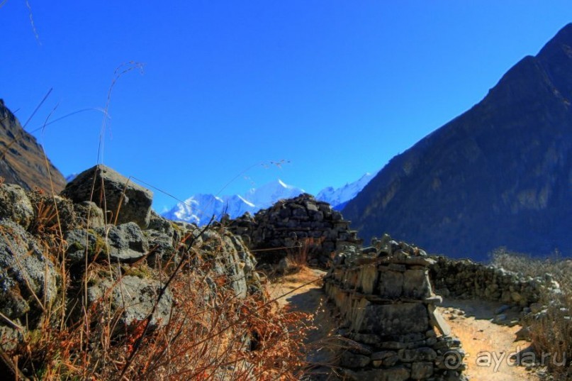 Огромный маленький Лангтанг. Подъем