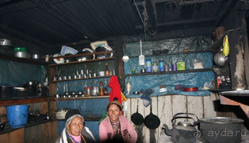 Огромный маленький Лангтанг. Подъем