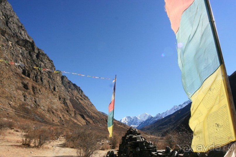 Огромный маленький Лангтанг. Подъем