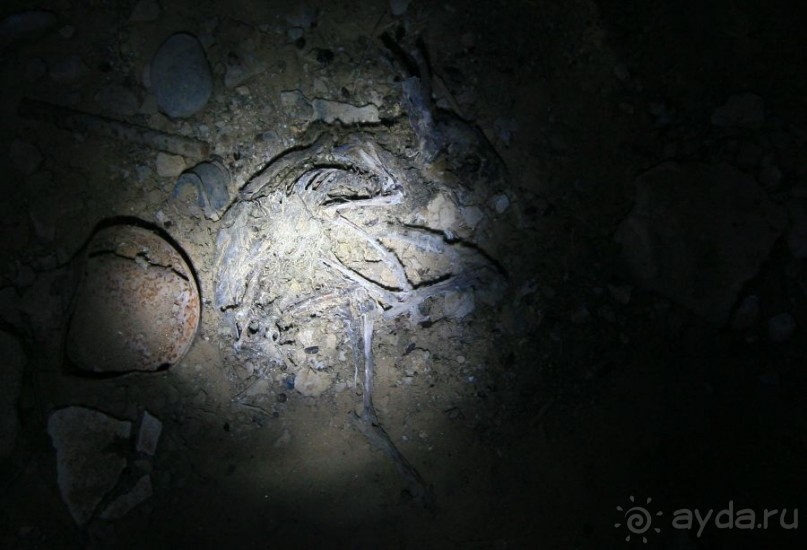 Космодром Байконур. Чего не видят туристы. Шахты ракет "Булава"