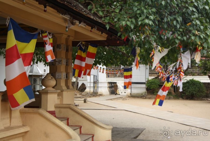 Золотое кольцо Цейлона. Канди