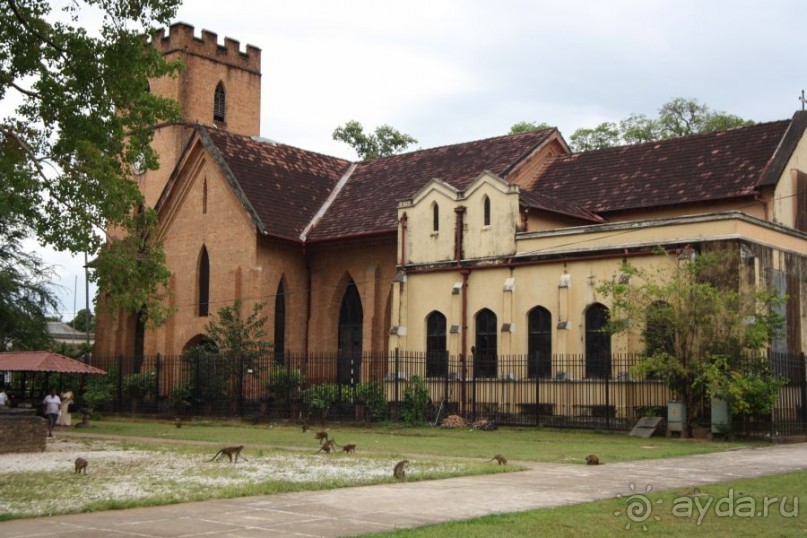 Золотое кольцо Цейлона. Канди