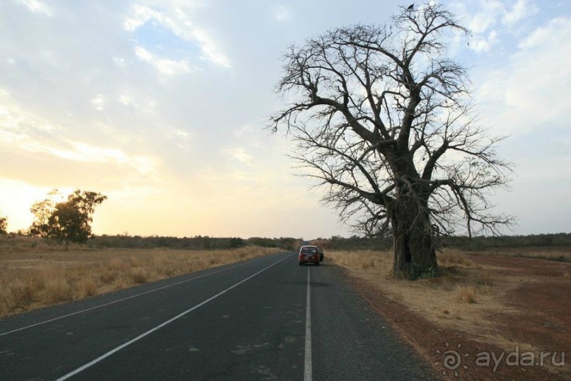 Каменные кольца Вассу