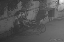 Фотодоклад Юкио Мисимы императору