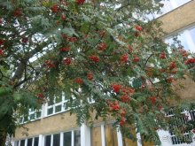 Путешествие по Польше, Германии, Дании. Часть 1