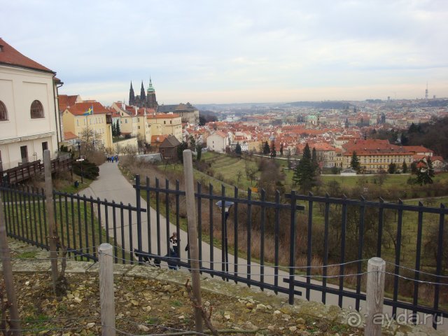 Февральская Прага 2014, часть 4