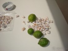 Солнечный остров Родос