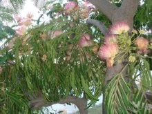 Солнечный остров Родос