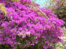 Солнечный остров Родос