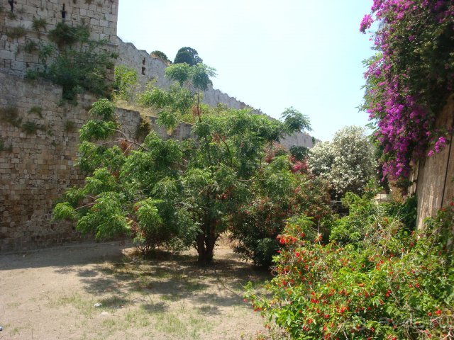 Солнечный остров Родос