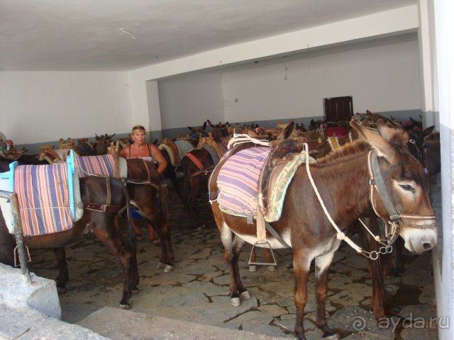 Солнечный остров Родос