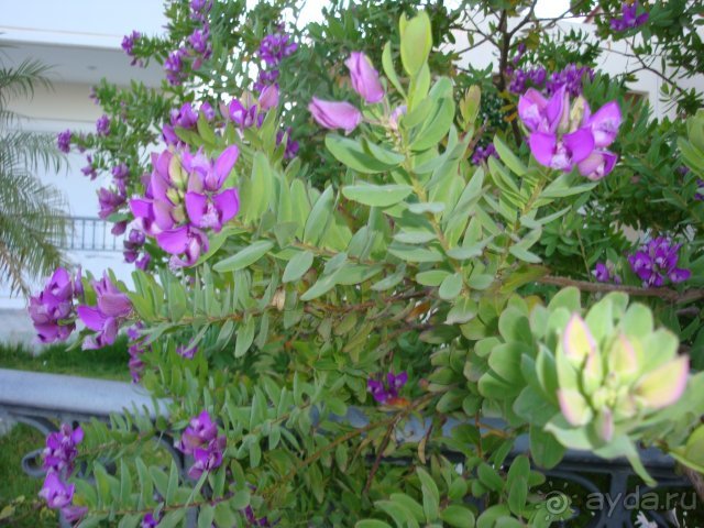 Солнечный остров Родос