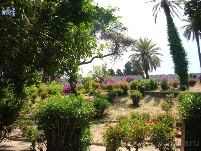 Солнечный остров Родос