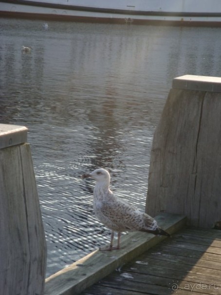 Путешествие по Польше, Германии, Дании. Часть 2. Датское королевство
