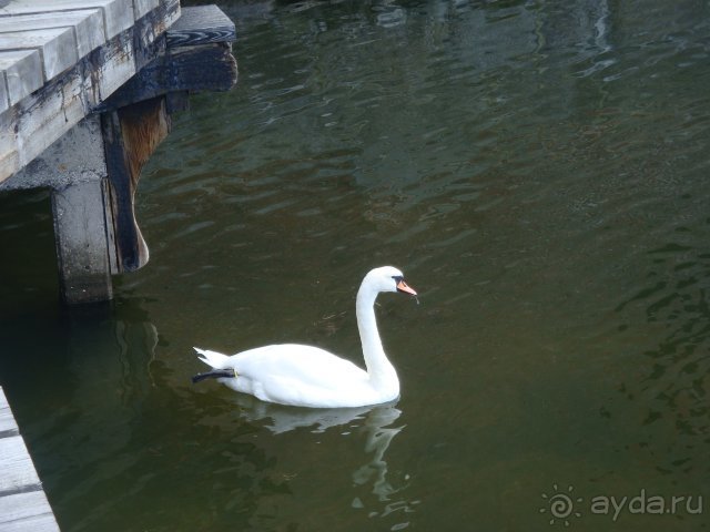 Путешествие по Польше, Германии, Дании. Часть 2. Датское королевство