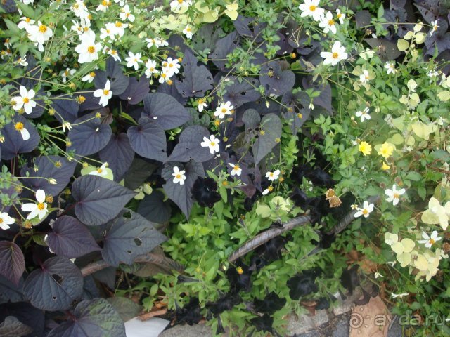 Путешествие по Польше, Германии, Дании. Часть 2. Датское королевство