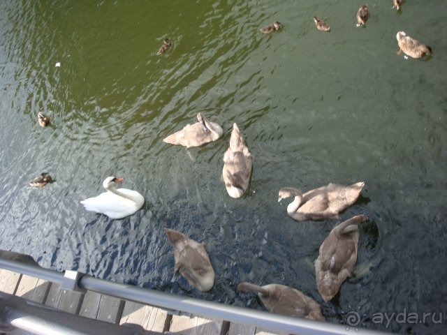 Путешествие по Польше, Германии, Дании. Часть 2. Датское королевство