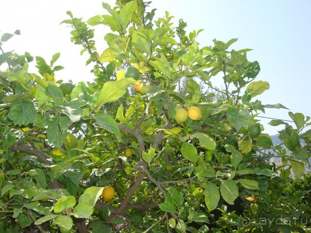 Сказочный остров Сими