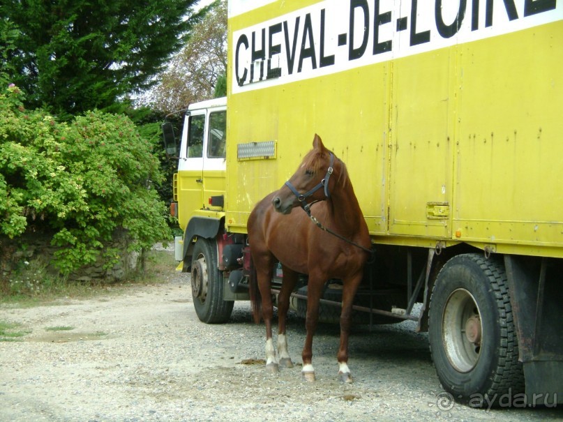 4 полуграции во Франции