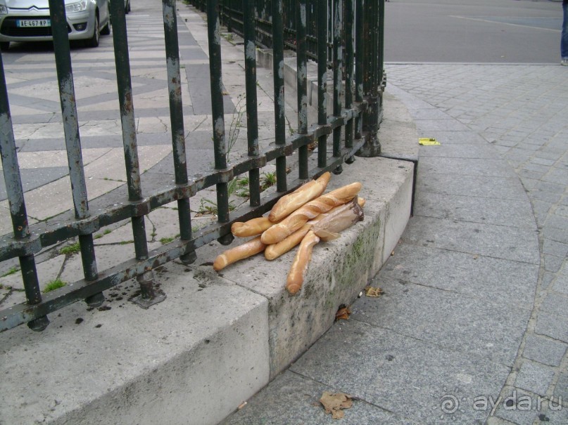 4 полуграции во Франции