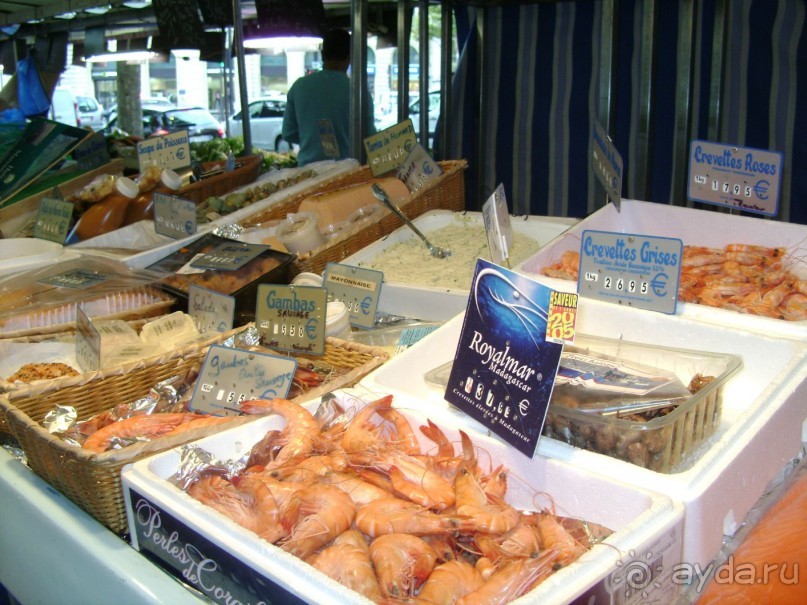 4 полуграции во Франции