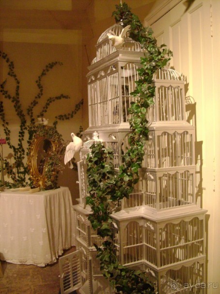 4 полуграции во Франции