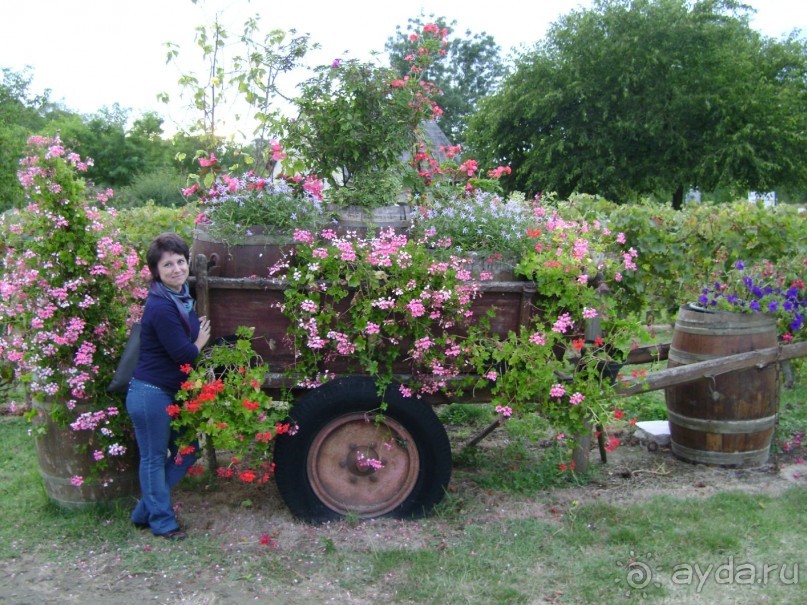 4 полуграции во Франции