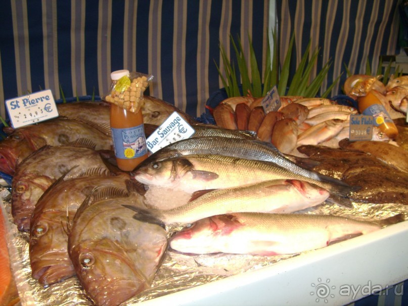 4 полуграции во Франции