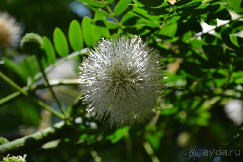 Отель явно не тянет на пять звезд