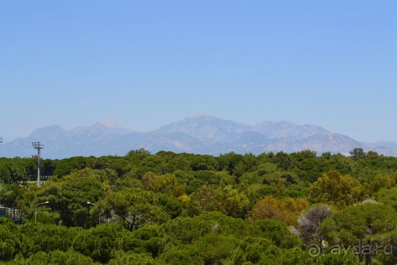 Отель явно не тянет на пять звезд