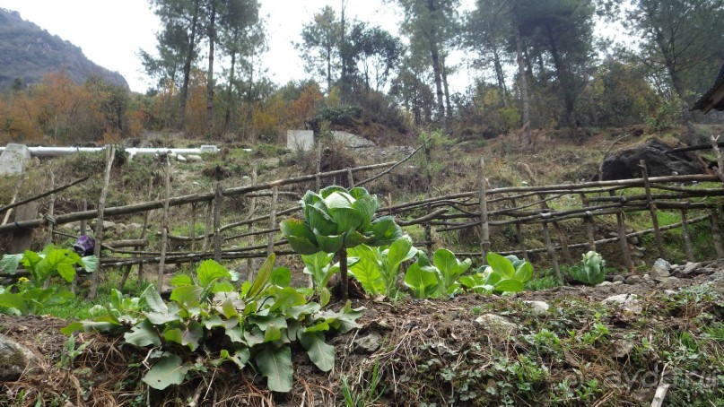 Тридцать и одна ночь. Юго-Восточные сказки. Непал-Индия апрель-май 2071года.