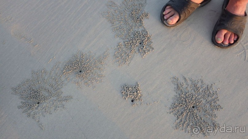 Тридцать и одна ночь. Юго-Восточные сказки. Непал-Индия апрель-май 2071года.