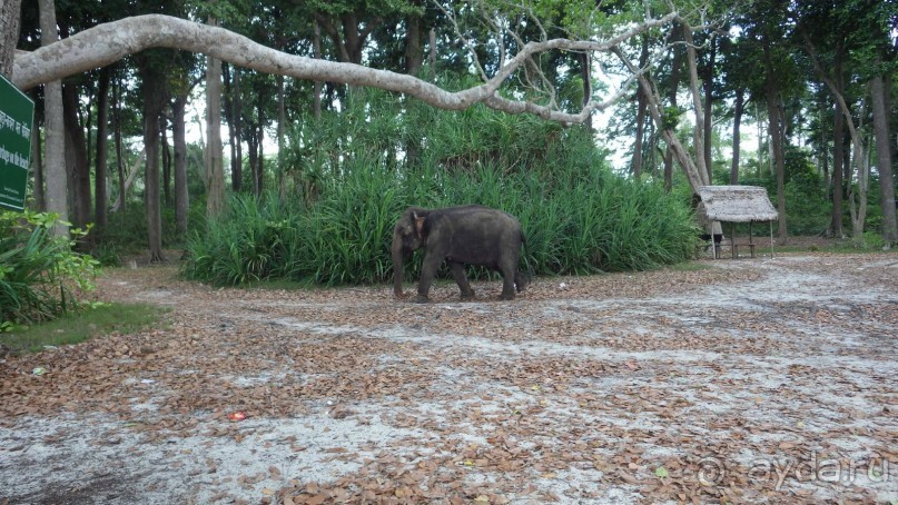 Тридцать и одна ночь. Юго-Восточные сказки. Непал-Индия апрель-май 2071года.