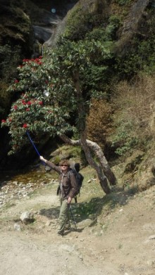 Тридцать и одна ночь. Юго-Восточные сказки. Непал-Индия апрель-май 2071года.