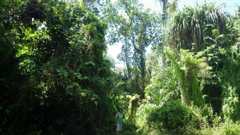 Тридцать и одна ночь. Юго-Восточные сказки. Непал-Индия апрель-май 2071года.